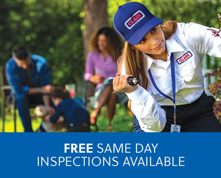 Clark Pest Control - Anaheim