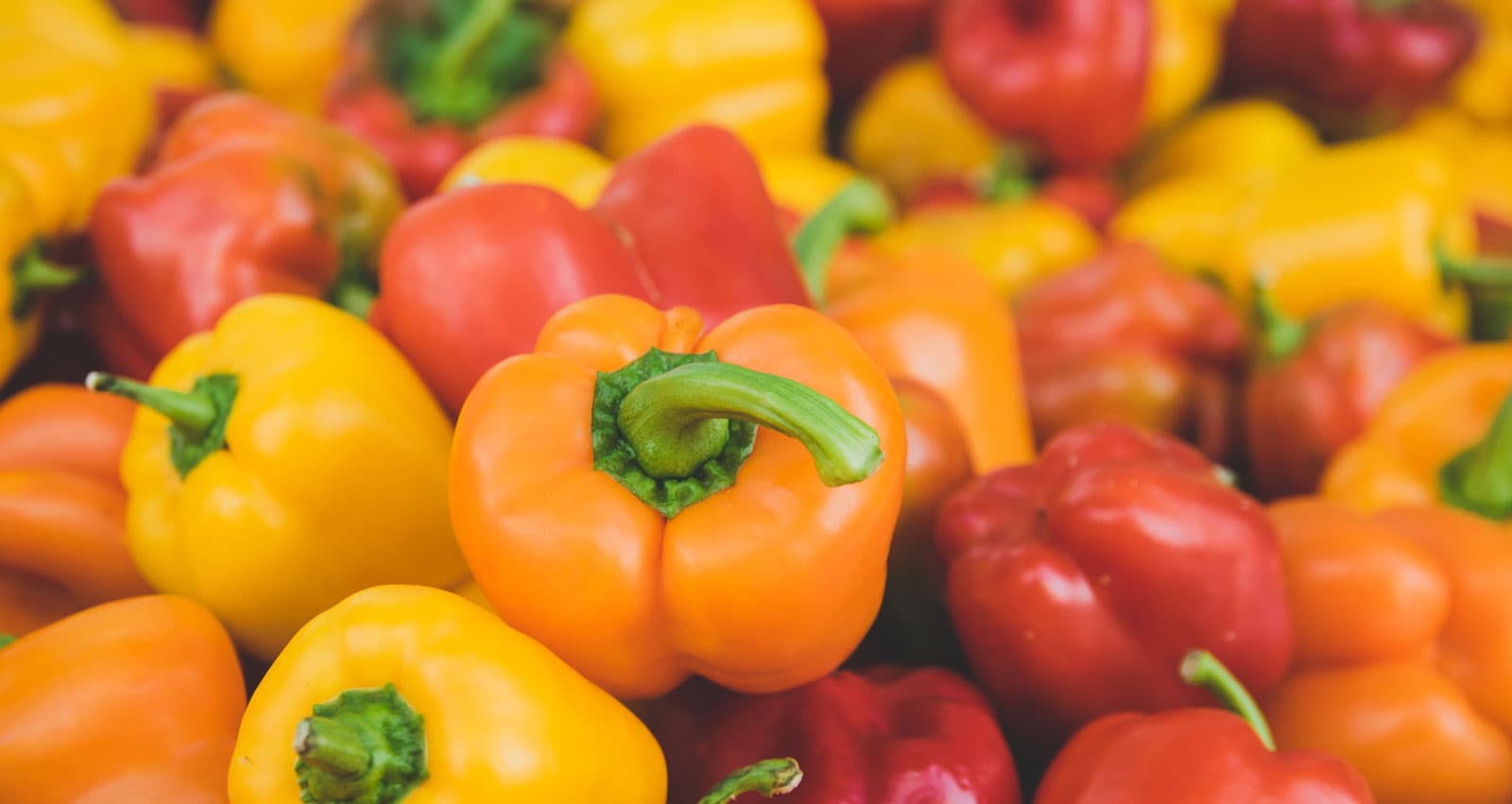 Legacy Farms Of California Llc