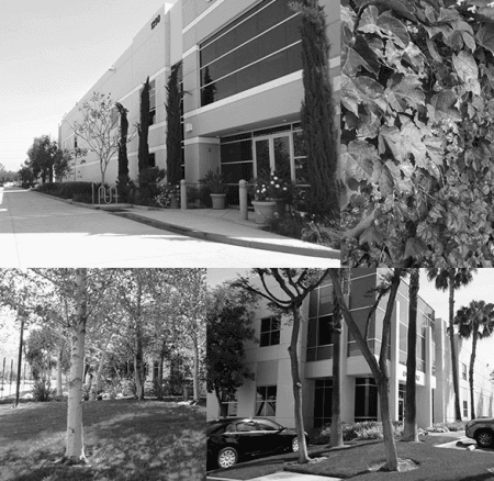 Cedar Realty Management Inc