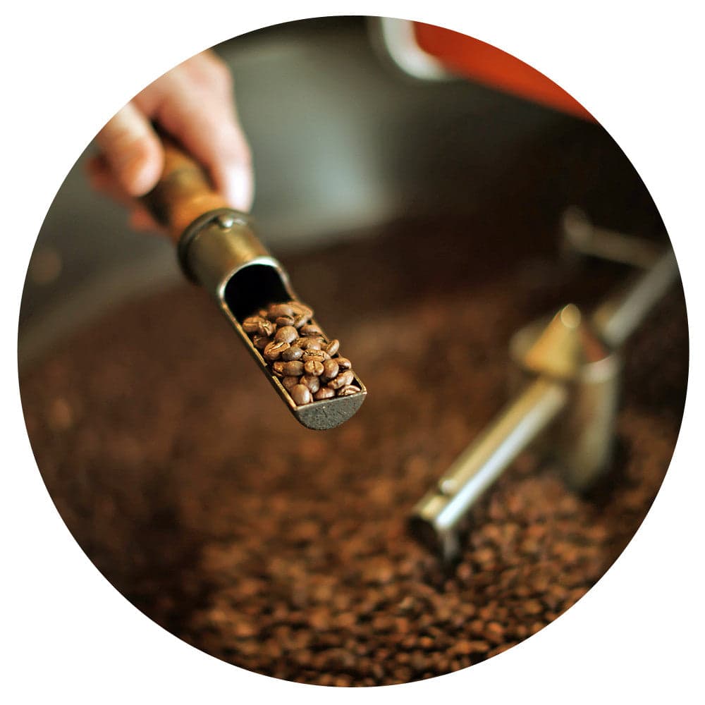 Bodhi Leaf Coffee Traders