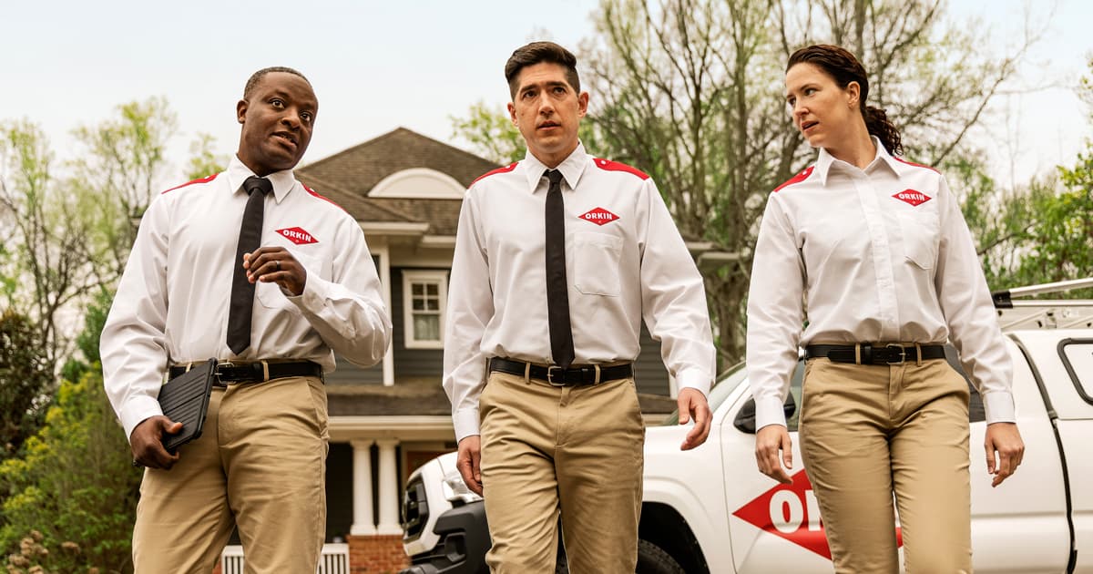 Orkin Pest Control